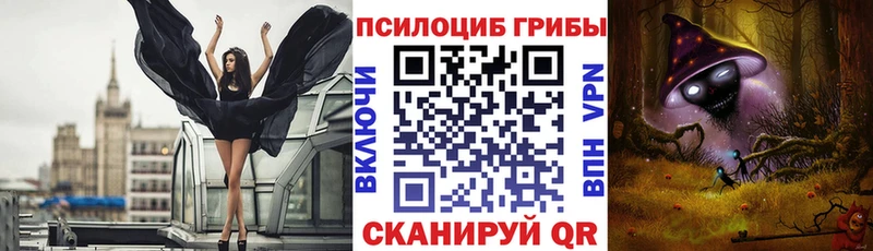 shop как зайти  Абинск  Галлюциногенные грибы Magic Shrooms  купить наркотик 