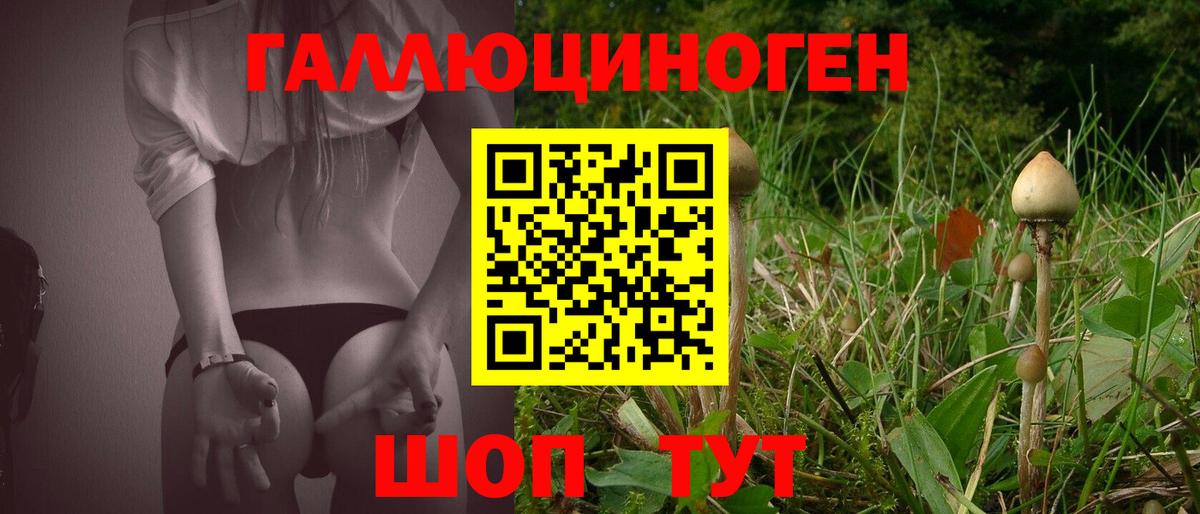 Галлюциногенные грибы MAGIC MUSHROOMS Абинск