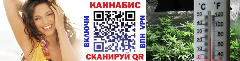 купить  цена  Абинск  Канабис Ganja 